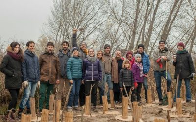 A Mantova un bosco post-industriale, da vivere e sostenere