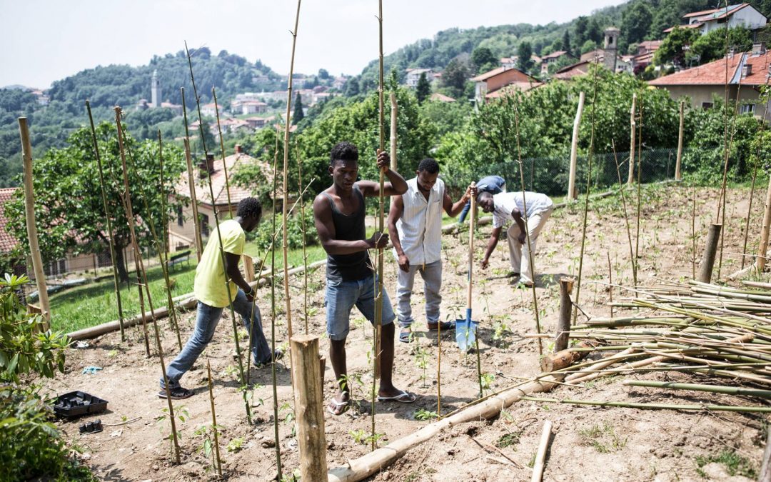 Vivere da stranieri in aree fragili