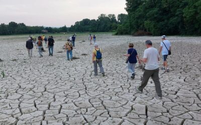 L’eccezione del fiume Ronco a Forlì